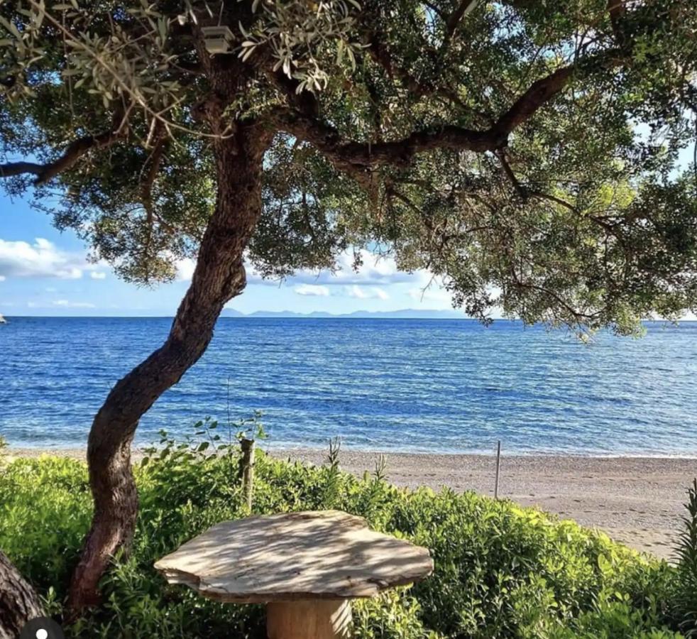 Dadya Villa 1 - Villa With Private Pool - 750M Distance To The Beach Datça Exteriör bild